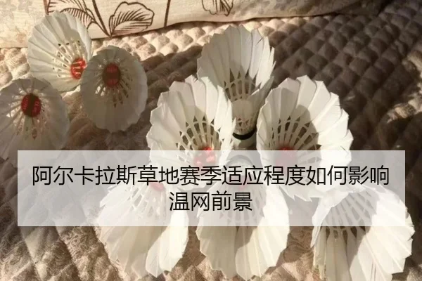 阿尔卡拉斯草地赛季适应程度如何影响温网前景